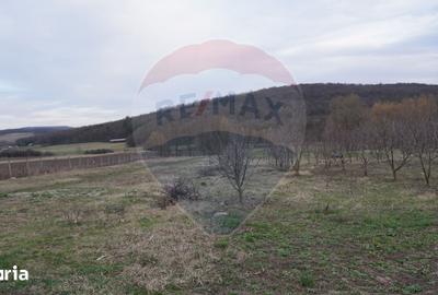 Teren de 517 mp, în Mărgineni