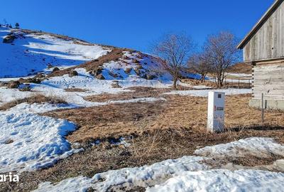 Teren de 3756 mp, în Fundata - 5