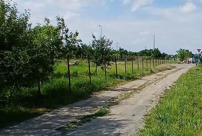 Teren de 468 mp, în Careiului - 4