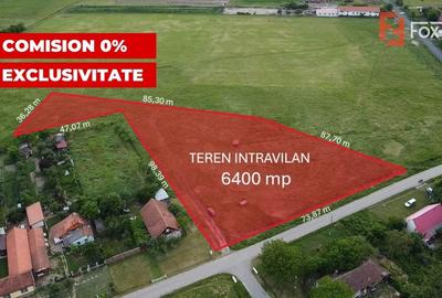 Teren Construcții intravilan de 6400 mp, în Pădureni (Jebel) - 1