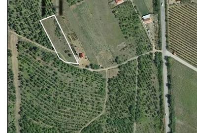 Teren de 3960 mp, în Oncea - 4