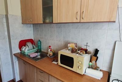 Apartament cu 3 camere decomandat în Camil Ressu - 8