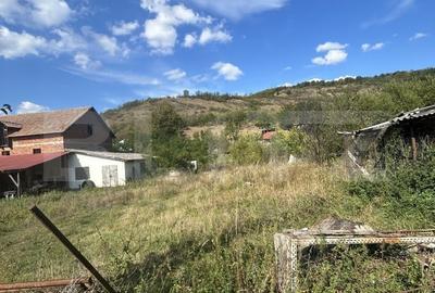 Spațiu comercial, în Juc-Herghelie