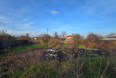 Teren agricol intravilan de 2458 mp, în Bulbucata - 5