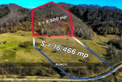 Teren agricol extravilan de 16466 mp, în Mara - 3