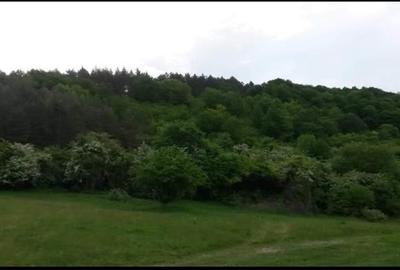 Teren intravilan de 1540 mp, în Făget