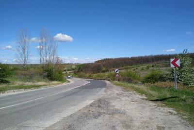 Teren de 17800 mp, în Mischii - 2