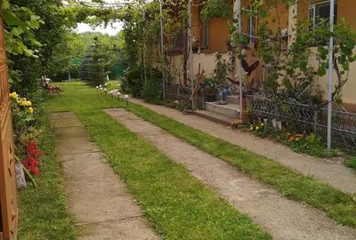 Casă cu 3 camere cu Teren 450 Mp în Ciolpani - 6