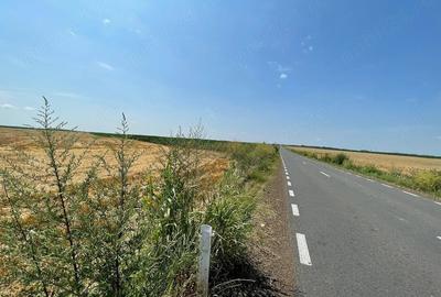 Teren de 103 mp, în Biled - 13