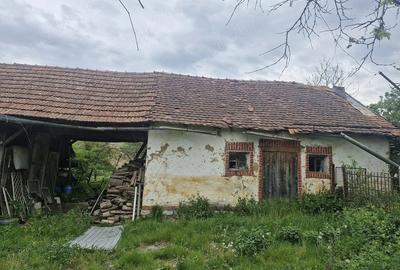 Casă cu 2 camere cu Teren 4561 Mp în Hidiș - 1