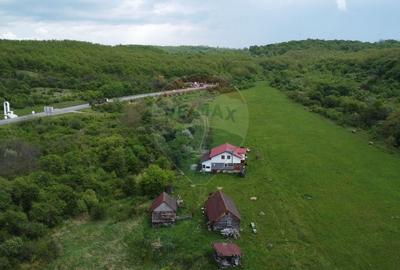 Casă individuală cu 4 camere cu Teren 57600 Mp în Sâncraiu Almașului - 23