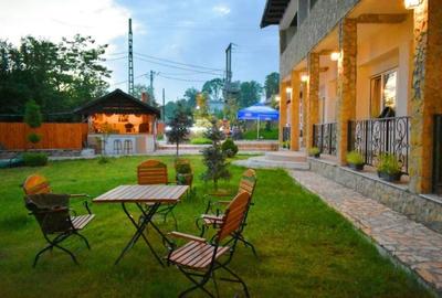 Proprietate specială, de 1,000 mp, în Poiana (Schitu Duca) - 7