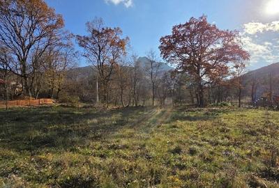 Teren de 1500 mp, în Rimetea