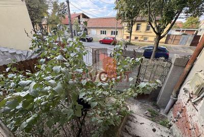 Casă individuală cu 4 camere cu Teren 802 Mp în Elisabetin - 6