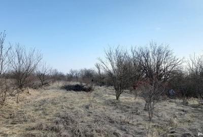 Teren de 1600 mp, în Central - 3