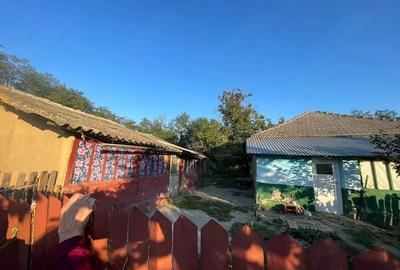 Casă cu 3 camere cu Teren 1716 Mp în Sultana
