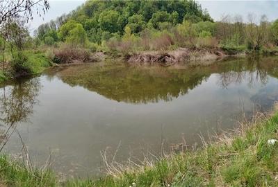 Teren de 12500 mp, în Gurghiu - 3