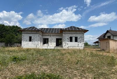 Casă cu 4 camere cu Teren 4174 Mp în Slătioarele - 9
