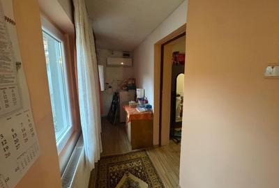 Casă individuală cu 7 camere cu Canalizare în Freidorf - 13