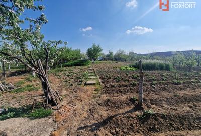 Casă individuală cu 7 camere cu Canalizare în Ultracentral - 20