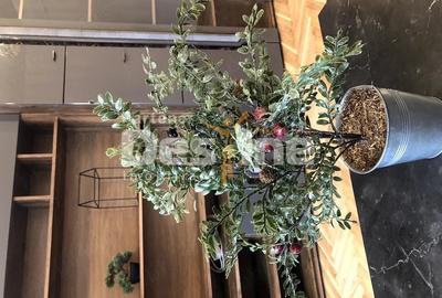 Apartament cu 2 camere în Elisabetin - 6