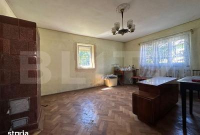 Casă cu 4 camere cu Teren 2534 Mp în Brănișca - 4
