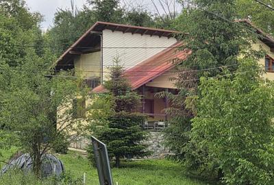 Casă individuală cu 5 camere cu Canalizare în Provița de Sus - 18