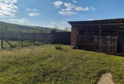 Casă cu 4 camere cu Teren 1600 Mp în Zăgujeni