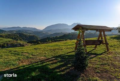 Teren de 2000 mp, în Poiana Mărului - 5