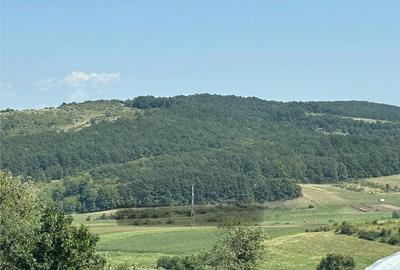 Teren de 2200 mp, în Deușu