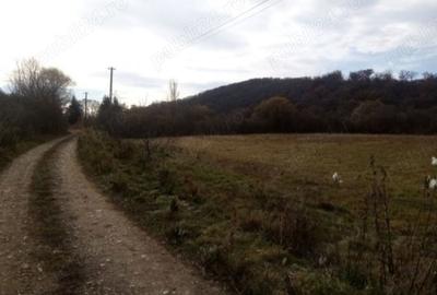 Teren de 10000 mp, în Central - 4