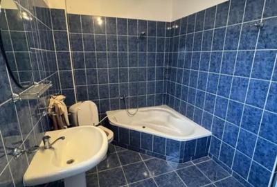 Casă cu 3 camere cu Teren 3300 Mp în Coltău - 18