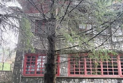 Casă cu 7 camere cu Teren 500 Mp în Platoul Izvor - 1