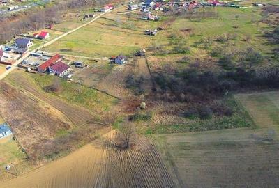 Teren Construcții intravilan de 5460 mp, în Budești - 10