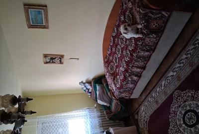Apartament cu 3 camere semidecomandat în Dacia - 1