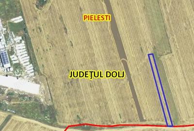 Teren de 5000 mp, în Pielești