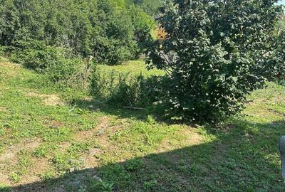 Casă cu 3 camere în Rediu - 5