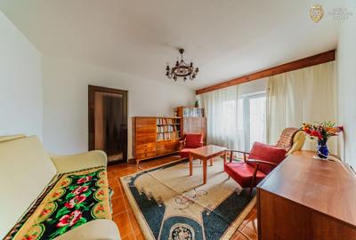 Apartament cu 2 camere decomandat, mobilat în Micălaca - 9