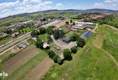 Teren de 7929 mp, în Daneș