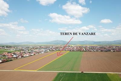 Teren Construcții extravilan de 29200 mp, în Tărlungeni - 2