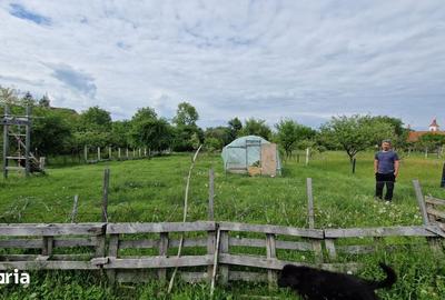 Teren de 2889 mp, în Turcheș - 10