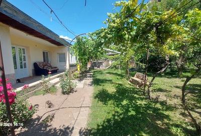 Casă cu Teren 2500 Mp în Șerbănești - 4