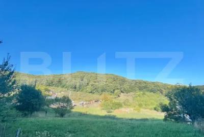 Teren în Central
