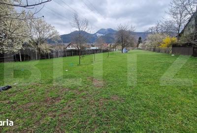 Teren de 4300 mp, în Baciu - 1