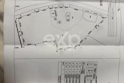 Casă individuală cu 2 camere cu Teren 3772 Mp în Cocu - 1