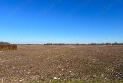 Teren de 40000 mp, în Letca Nouă
