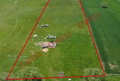 Teren agricol extravilan de 18500 mp, în Ilieni - 2
