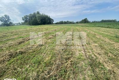 Teren de 2300 mp, în Satu Mare