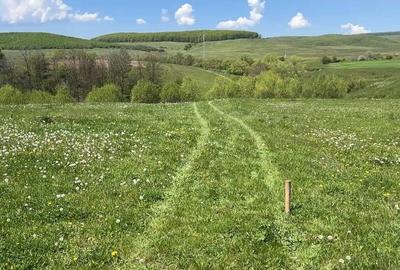 Teren de 2800 mp, în Podu Oltului