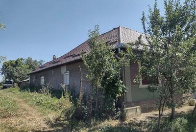 Casă cu 3 camere cu Teren 1000 Mp în Rogoz - 3